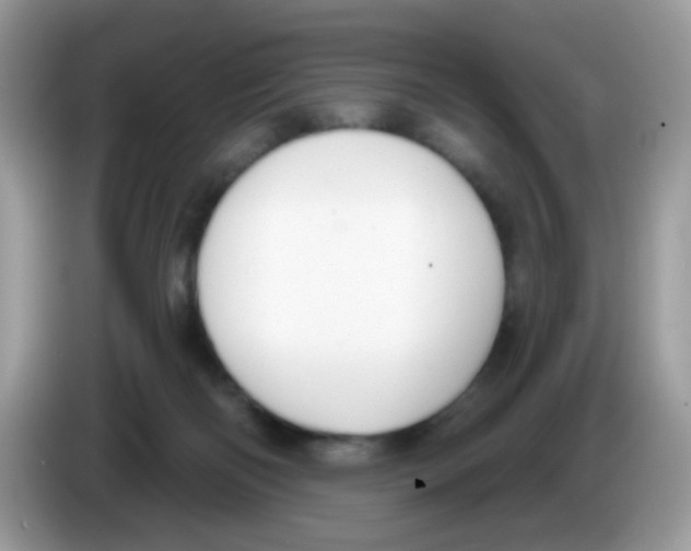 X0000086250122200704261943