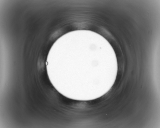 X0000086250124200704261943