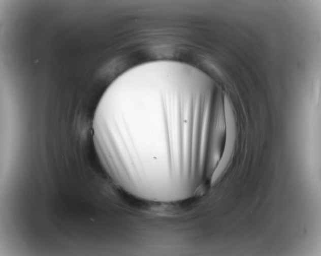 X0000086250125200704261943