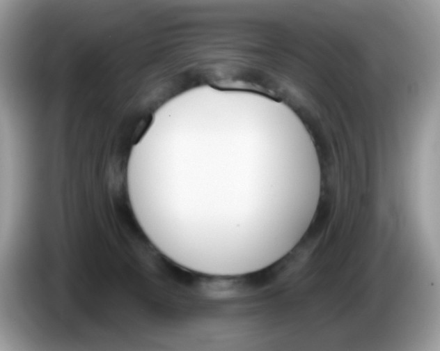 X0000086250129200704261943