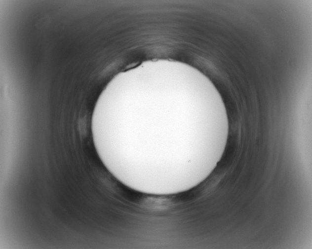 X0000086250133200704261943