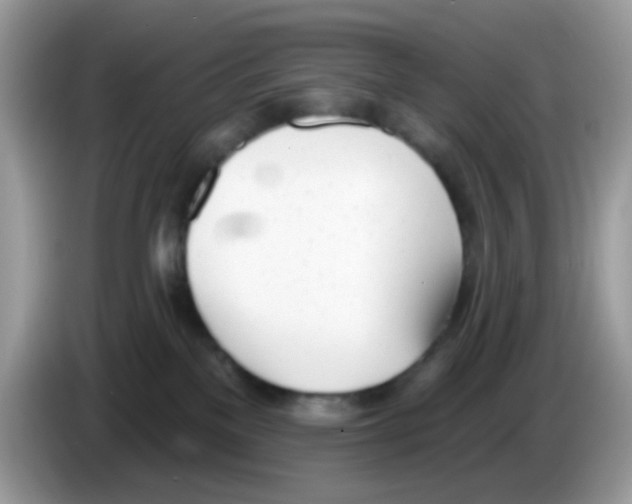 X0000086250137200704261943