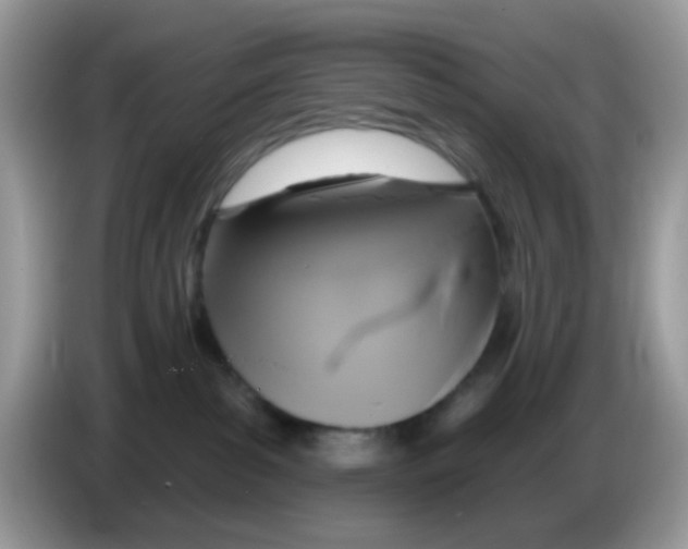 X0000086250139200704261943