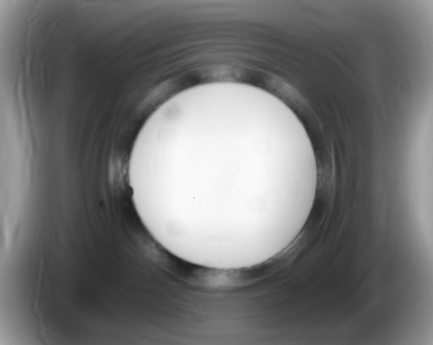 X0000086250142200704261943