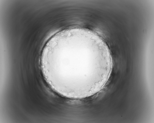 X0000086250146200704261943