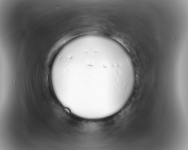 X0000086250149200704261943