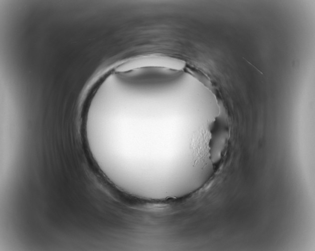 X0000086250150200704261943