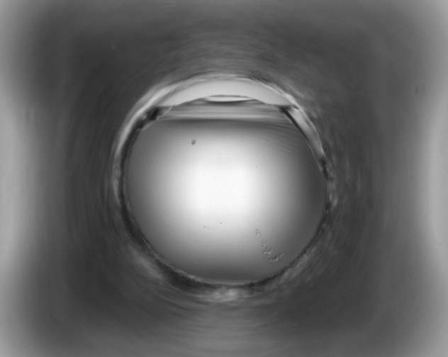 X0000086250152200704261943