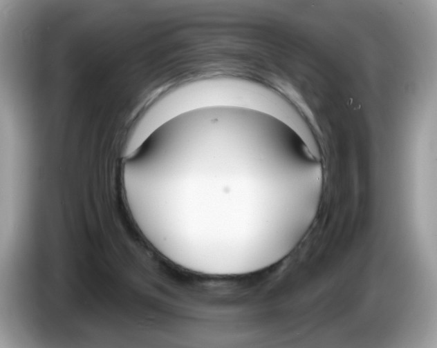 X0000086250154200704261943