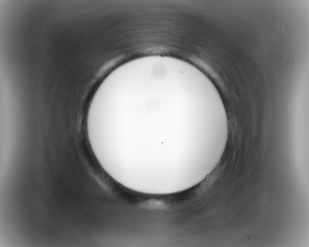 X0000086250159200704261943