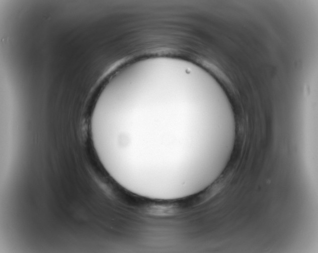 X0000086250160200704261943