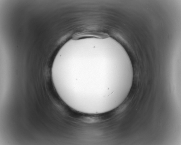 X0000086250164200704261943