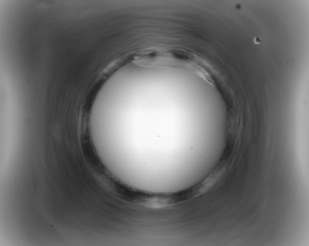 X0000086250168200704261943