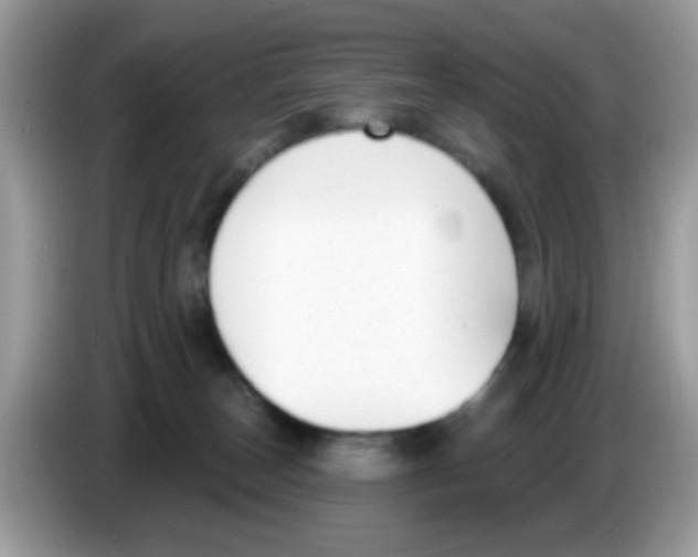 X0000086250179200704261943