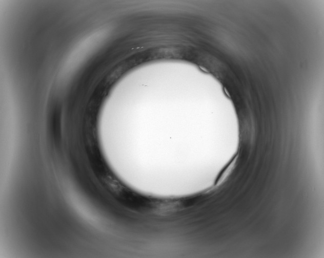 X0000086250191200704261943