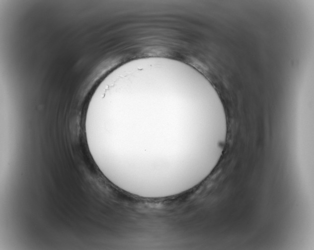 X0000086250194200704261943