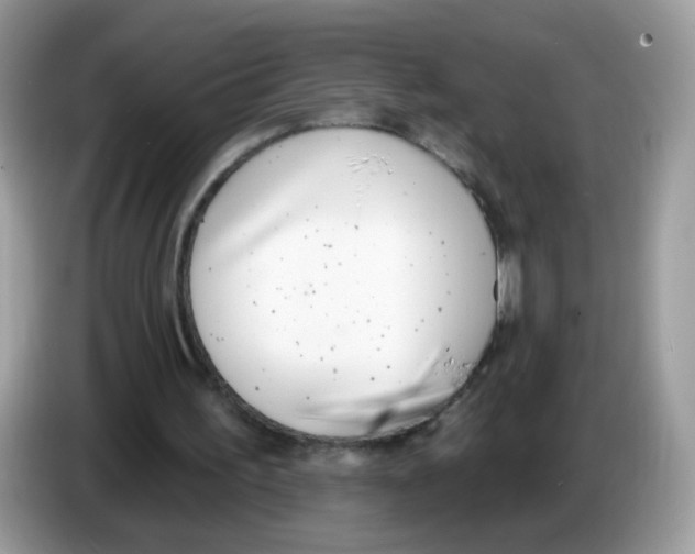 X0000086250195200704261942