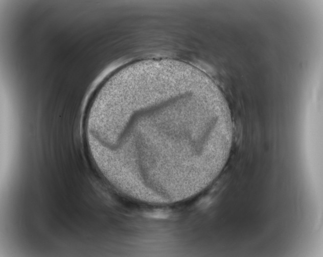 X0000086250196200704261942