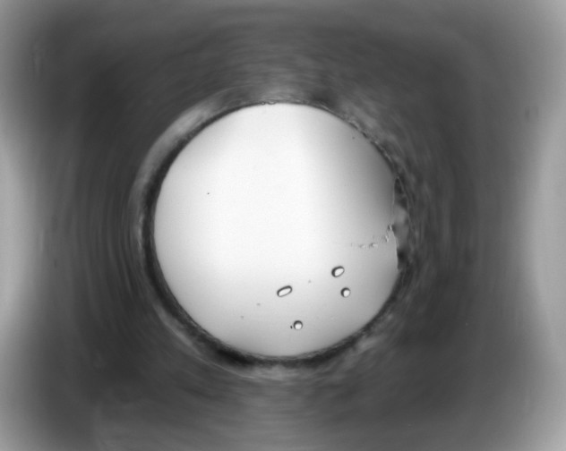 X0000086250197200704261942