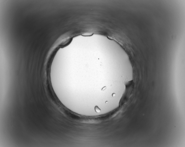 X0000086250198200704261942