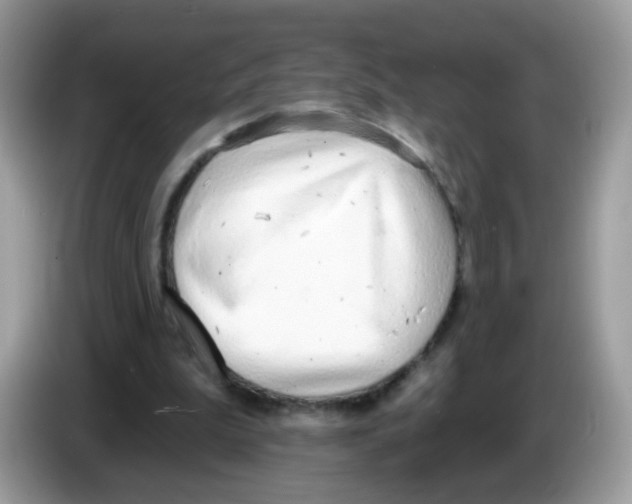 X0000086250199200704261942