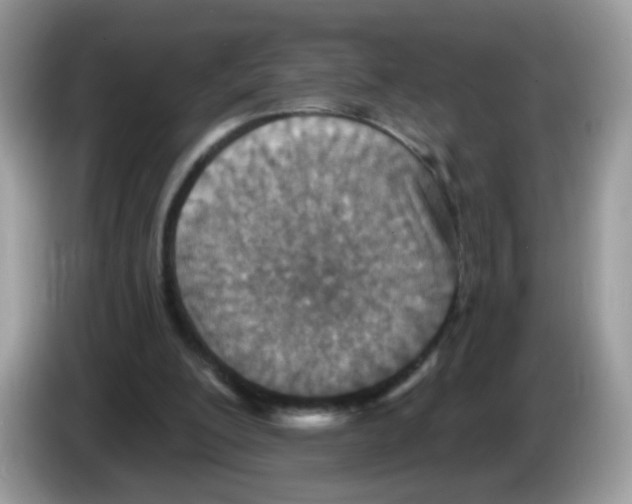 X0000086250200200704261942