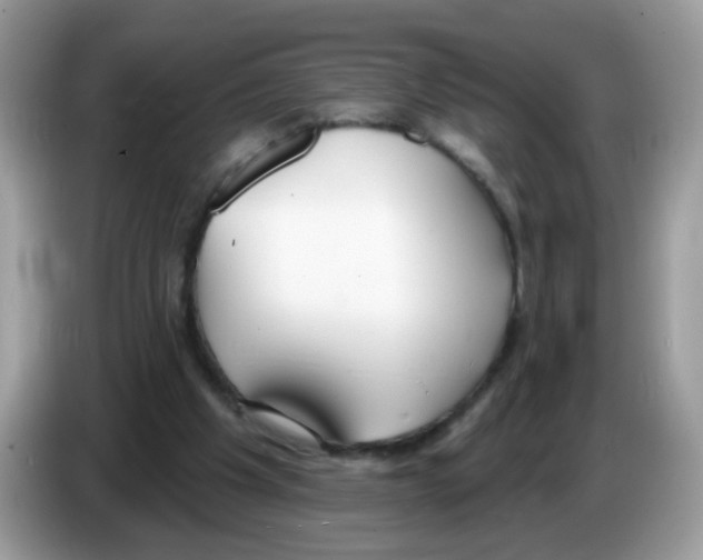 X0000086250201200704261942