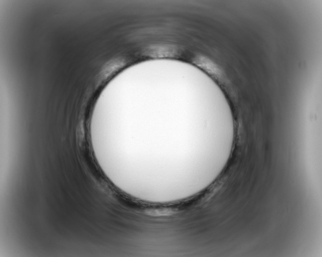 X0000086250202200704261942