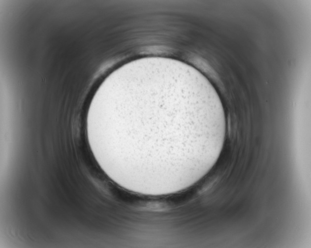 X0000086250204200704261942