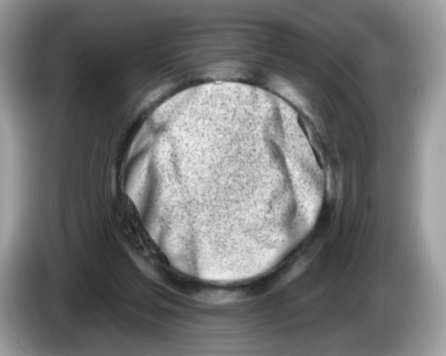 X0000086250205200704261942