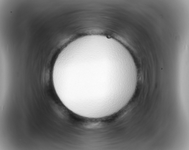 X0000086250206200704261942