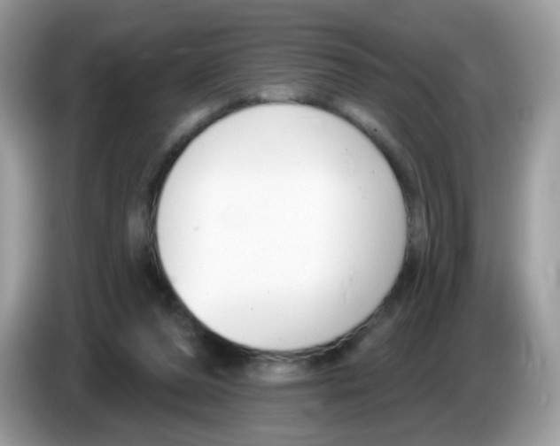 X0000086250208200704261942