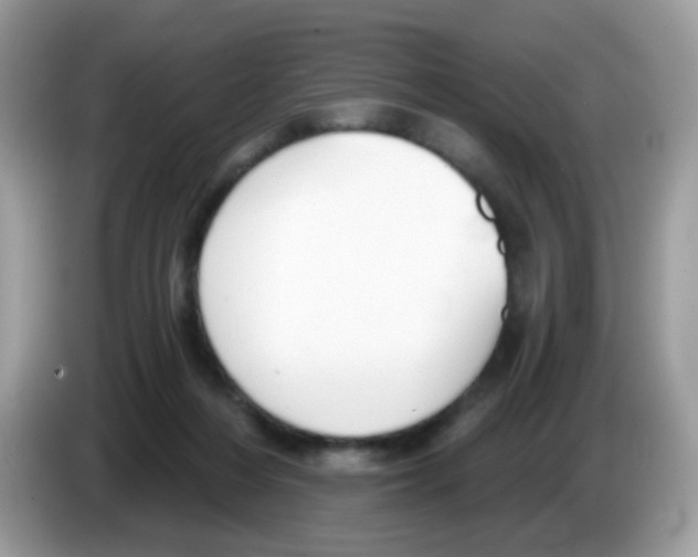 X0000086250216200704261942