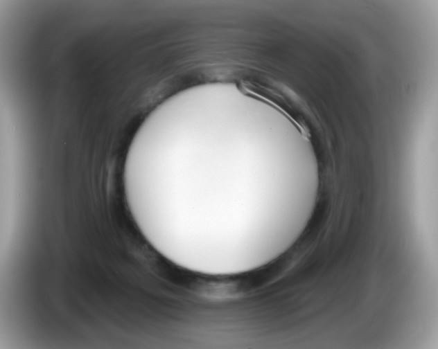 X0000086250217200704261942