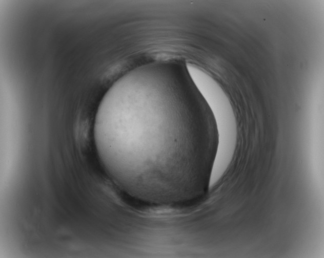 X0000086250219200704261942