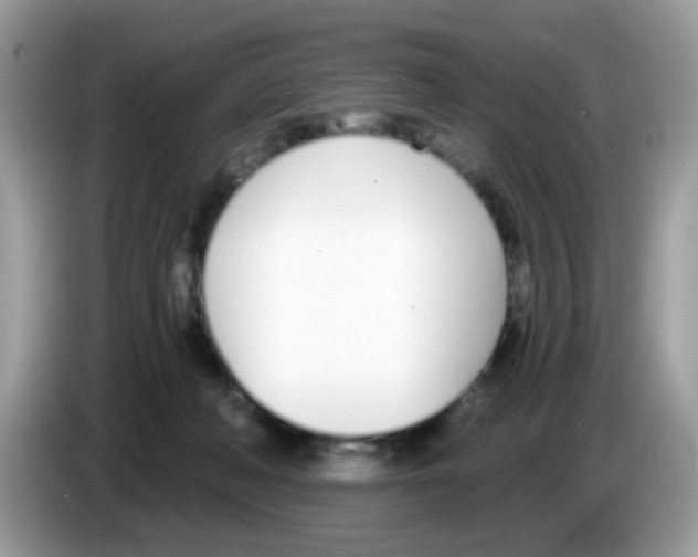 X0000086250222200704261942