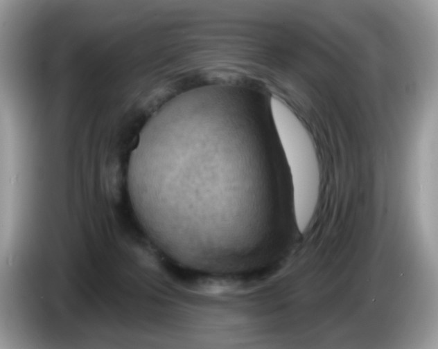 X0000086250223200704261942