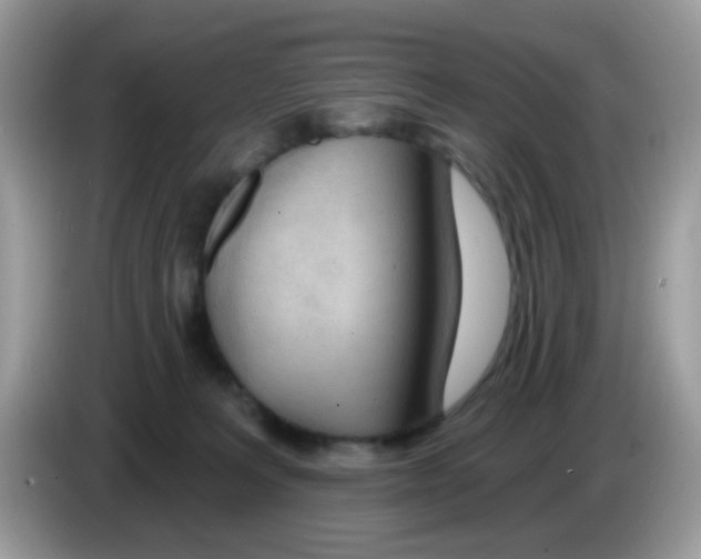 X0000086250227200704261942