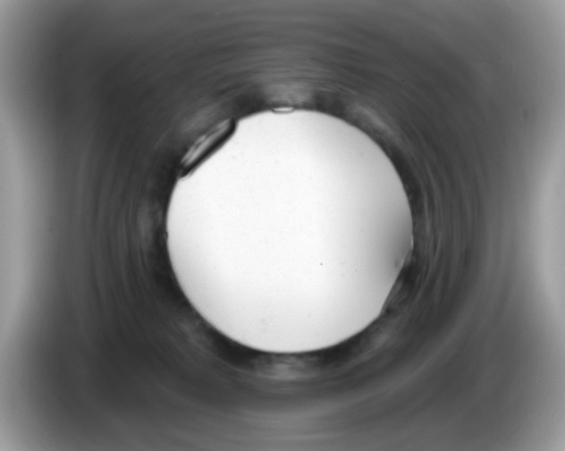 X0000086250229200704261942