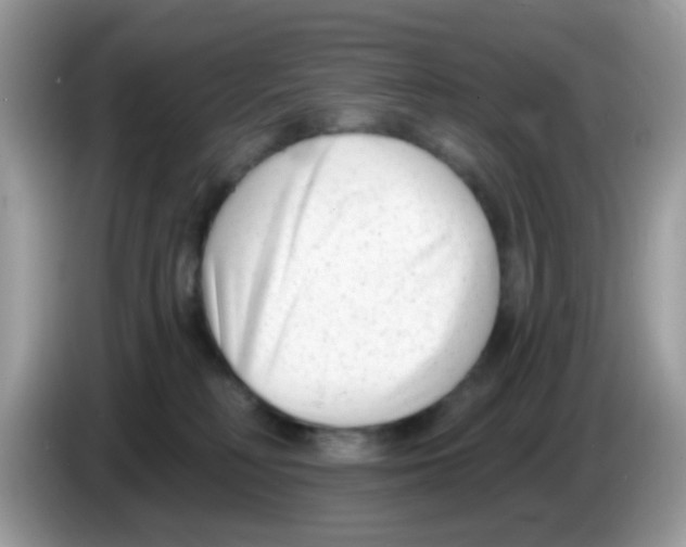 X0000086250230200704261942