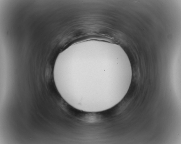 X0000086250231200704261942