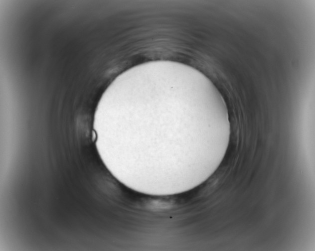 X0000086250232200704261942