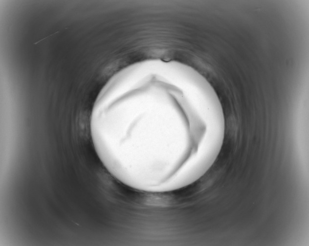 X0000086250234200704261942