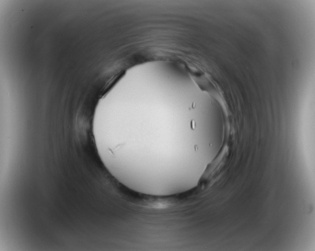 X0000086250235200704261942