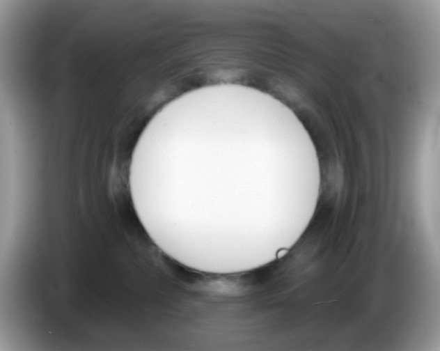 X0000086250236200704261942