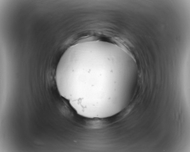 X0000086250237200704261942