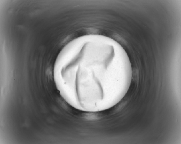 X0000086250238200704261942