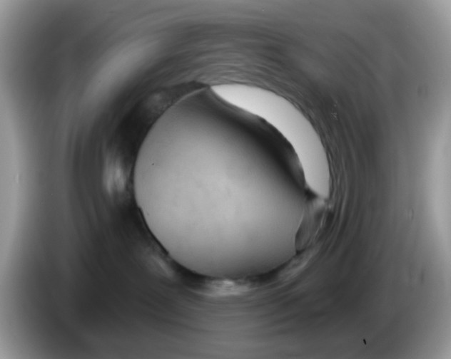 X0000086250239200704261942