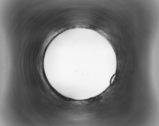 X0000086250241200704261941