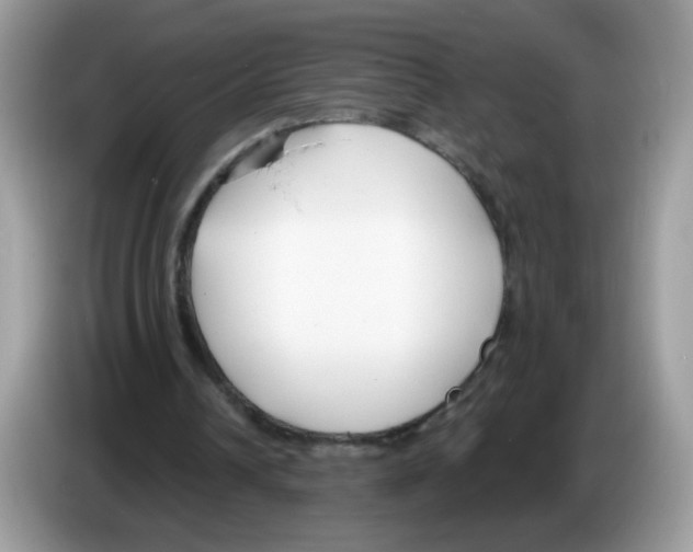 X0000086250242200704261941